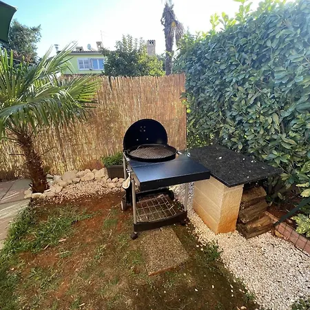 Classic And Modern With Terrace And Bbq * Umag