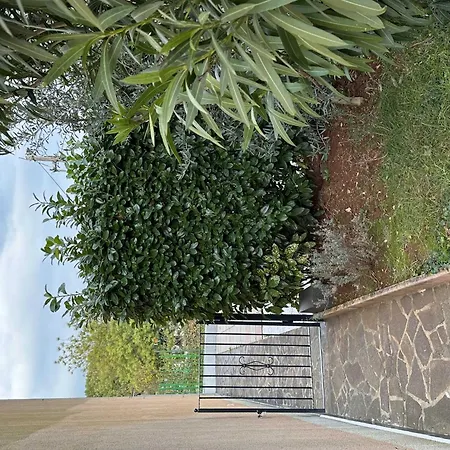 Classic And Modern With Terrace And Bbq * Umag